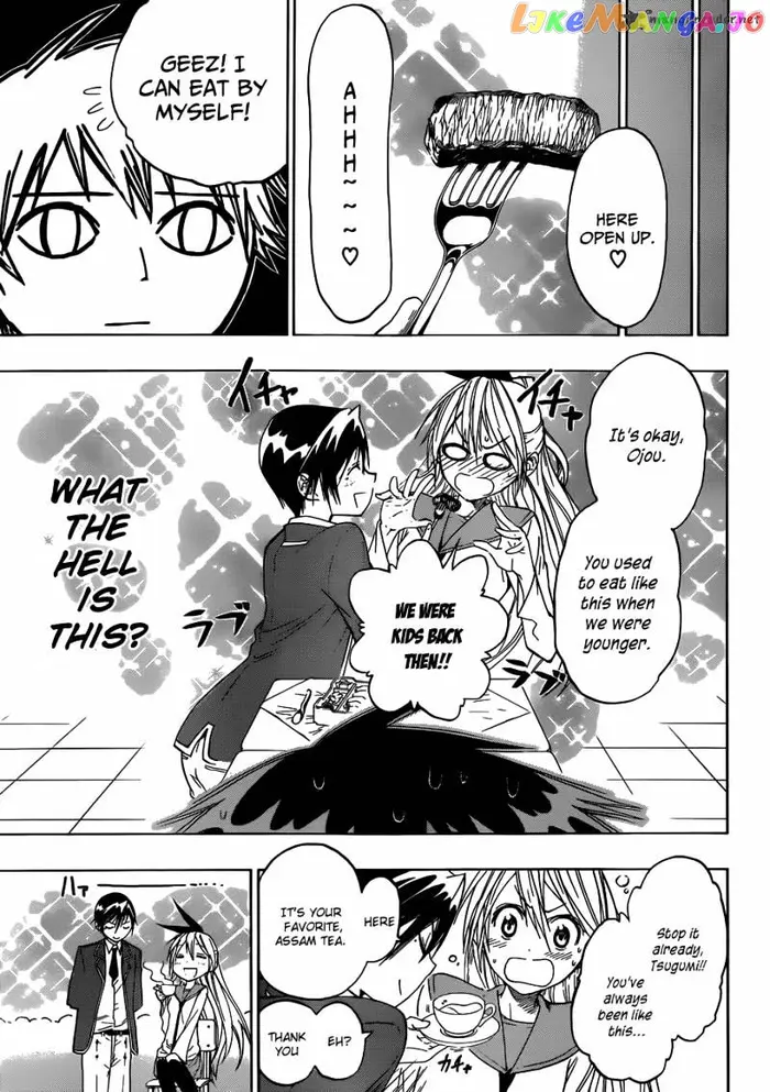 Nisekoi Chapter 15 image 12_optimized